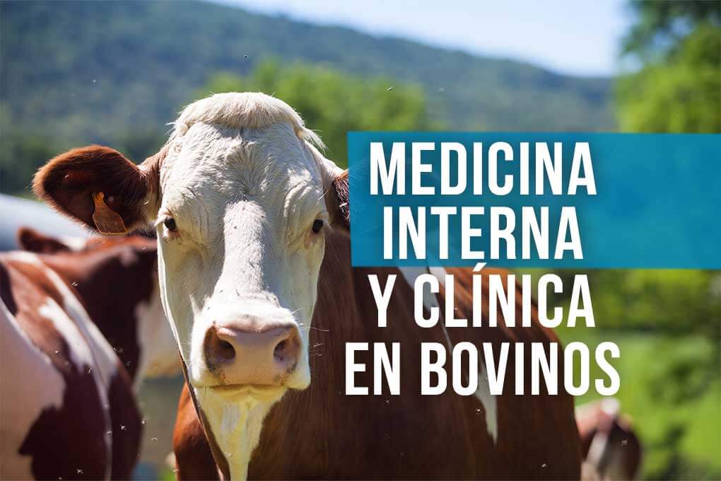 c_medicina_interna_clínica_en_bovinos