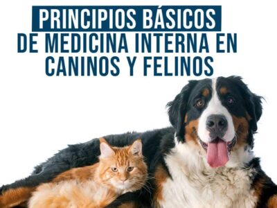 Curso Principios Básicos de Medicina Interna en Caninos y Felinos
