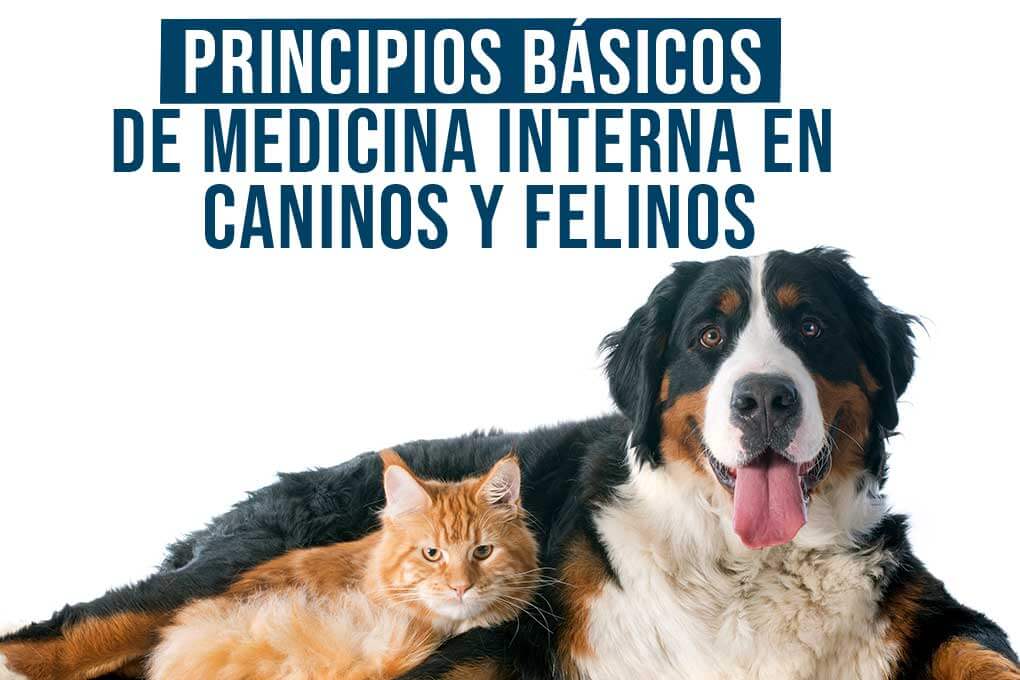 c_principios_basicos_medicina_interna_en_caninos_y_felinos