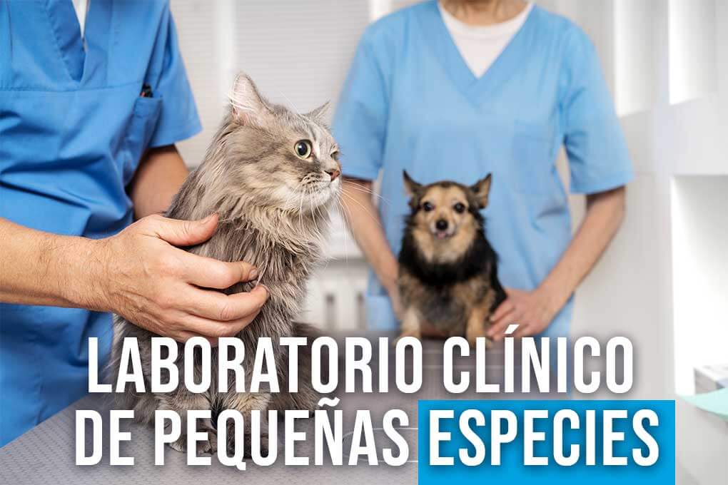 curso_laboratorio_clinico_pequenas_especies