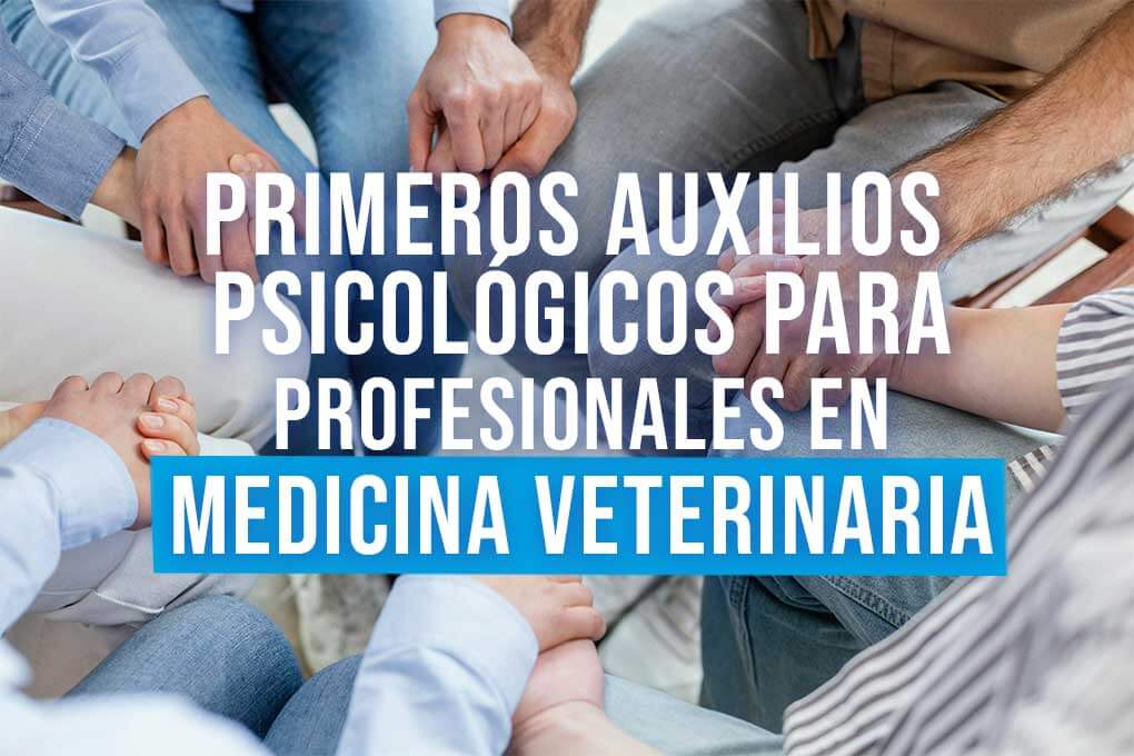 curso_primero_auxilios_psicologicos_profesionales_medicina_veterinaria