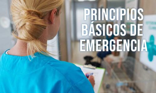 Principios básicos de emergencias