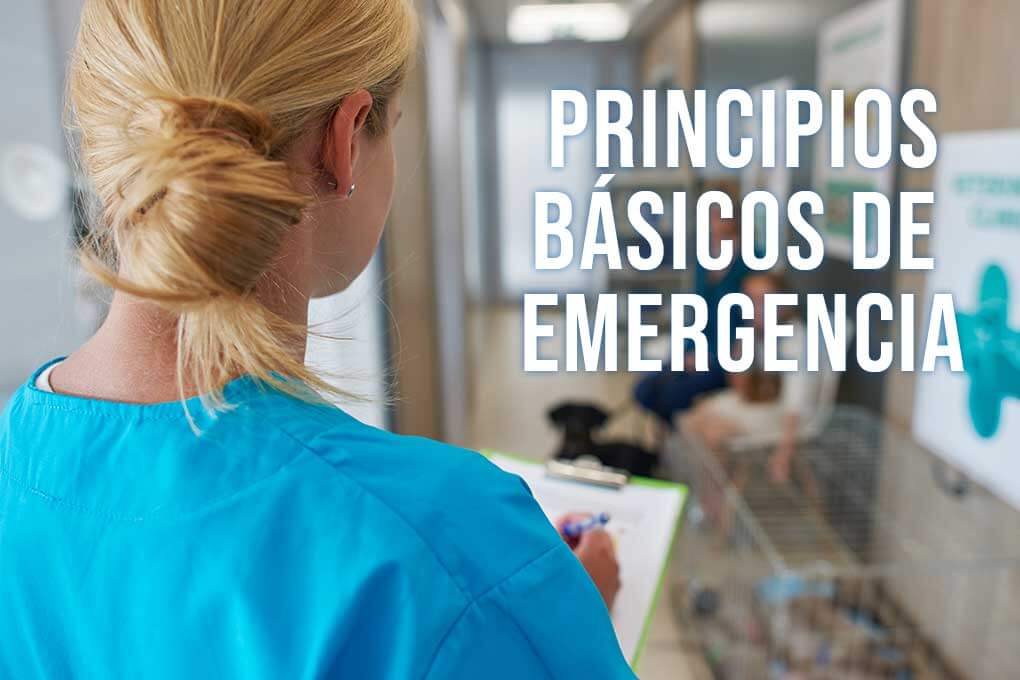 principos_basicos_de_emergencia