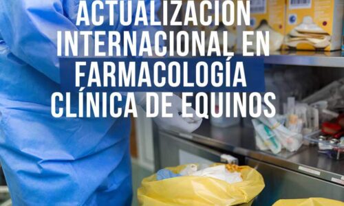 Curso Actualización Internacional en Farmacología Clínica de Equinos