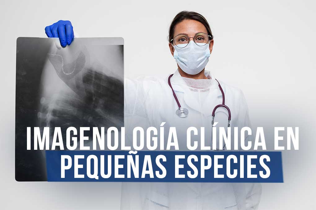 c_imagenologia_clinica_pequenas_especies