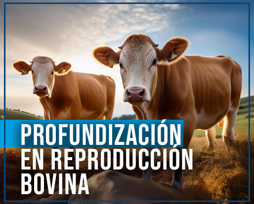 c_profundizacion_reproduccion_bovina