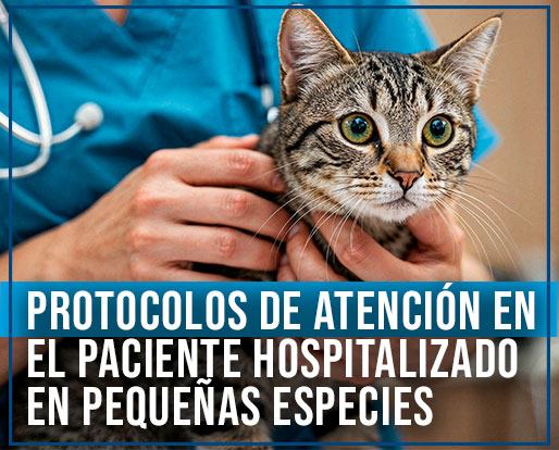 IMAGEN_PROTOCOLO-PACIENTE-HOSPUTALIZADO IMAGEN_PROTOCOLO-PACIENTE-HOSPUTALIZADO